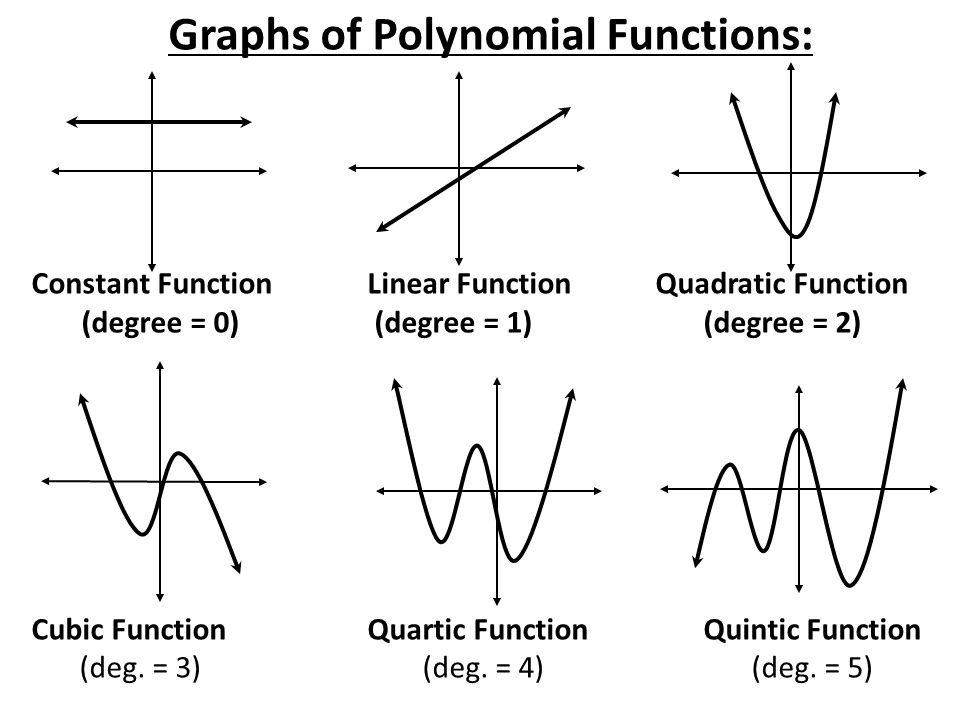 polynomial